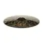 Meinl CC22DAR Classics Custom Dark Ride 22" Meinl CC22DAR Classics Custom Dark Ride 22"