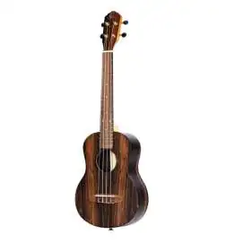 Ortega RUEB-TE Tenor Ukulele