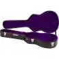Gretsch G6296 Round Neck Reso Case Flat Top Case