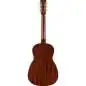 Gretsch JD Parlor Delto TSPG BLKT