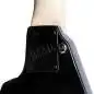 ESP LTD Alexi-200 Black