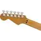 EVH Frankenstein Relic MN Black