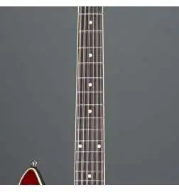 Duesenberg Double Cat 12-String Vintage Burst