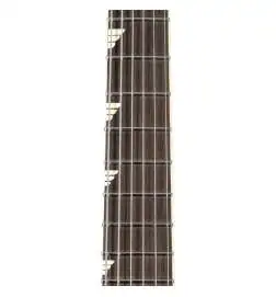 Duesenberg Paloma Custom Black