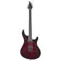 Mayones Regius 6 Dirty Red Burst