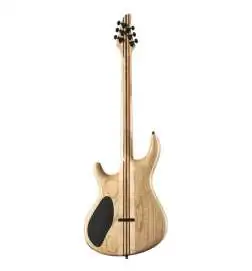 Mayones Regius 6 Dirty Red Burst