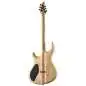 Mayones Regius 6 Dirty Red Burst