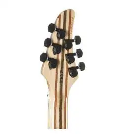Mayones Regius 6 Dirty Red Burst