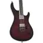 Mayones Regius 6 Dirty Red Burst