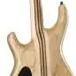 Mayones Regius 6 Dirty Red Burst