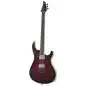 Mayones Regius 6 Dirty Red Burst