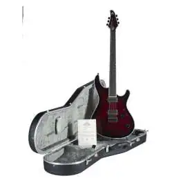 Mayones Regius 6 Dirty Red Burst