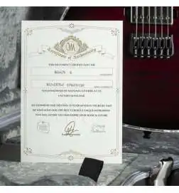 Mayones Regius 6 Dirty Red Burst