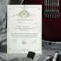Mayones Regius 6 Dirty Red Burst