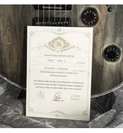 Mayones Regius Gothic 6 2PU Antique Black