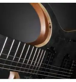 Mayones Hydra Elite 7 Trans Black Satin