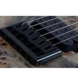 Schecter C-6 Pro Charcoal Burst