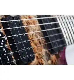 Schecter C-6 Pro FR Aurora Burst
