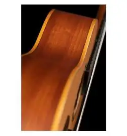 Ortega R122 1 4 Cedar Natural