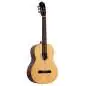 Ortega RST5 Natural Highgloss