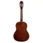 Ortega RST5 Natural Highgloss