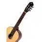 Ortega RST5 Natural Highgloss