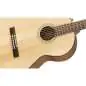 Fender CN-60S (Natural)