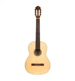 Ortega R121 NT