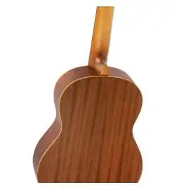 Ortega R121 NT