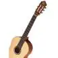 Ortega R121 NT