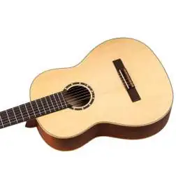 Ortega R121 NT