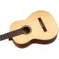 Ortega R121 NT