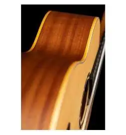 Ortega R121 NT