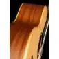 Ortega R121 NT