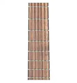 Ortega R121L-1 2 NT Lefthand