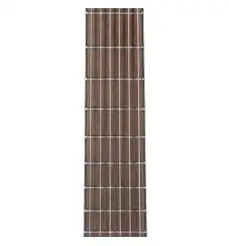 Ortega R121L WR Lefthand