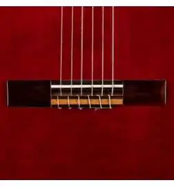 Ortega R121L WR Lefthand