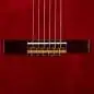 Ortega R121L WR Lefthand
