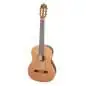 Ortega R131L NT Lefthand