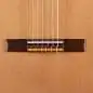 Ortega R131L NT Lefthand