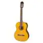 Takamine GC1N Lefthand Takamine GC1N Lefthand