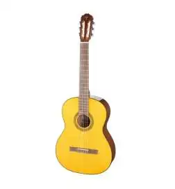 Takamine GC1N Lefthand