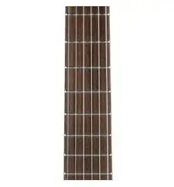 Takamine GC1N Lefthand