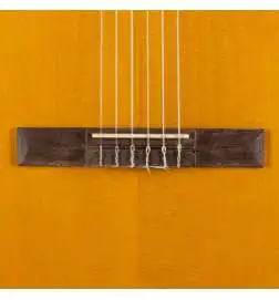 Takamine GC1N Lefthand
