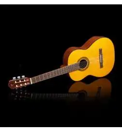 Takamine GC1N Lefthand