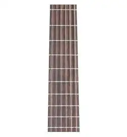 Ortega RCE131L NT Lefthand