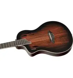 Ortega RTPDLX-ACA-L Lefthand
