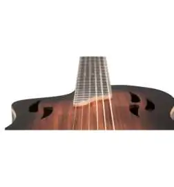Ortega RTPDLX-ACA-L Lefthand