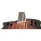 Ortega RTPDLX-ACA-L Lefthand Ortega RTPDLX-ACA-L Lefthand