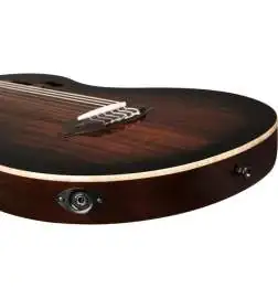 Ortega RTPDLX-ACA-L Lefthand